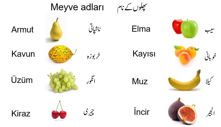 Meyve Adları