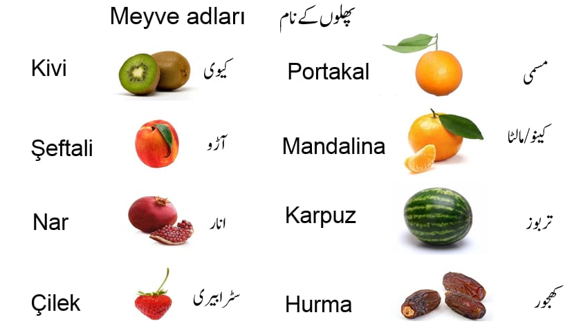 Meyve Adları