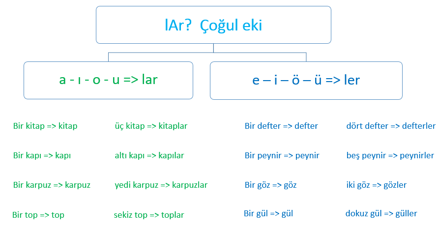  Var  Yok